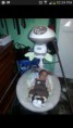 /album/fotogaleria/img-3242-jpg/